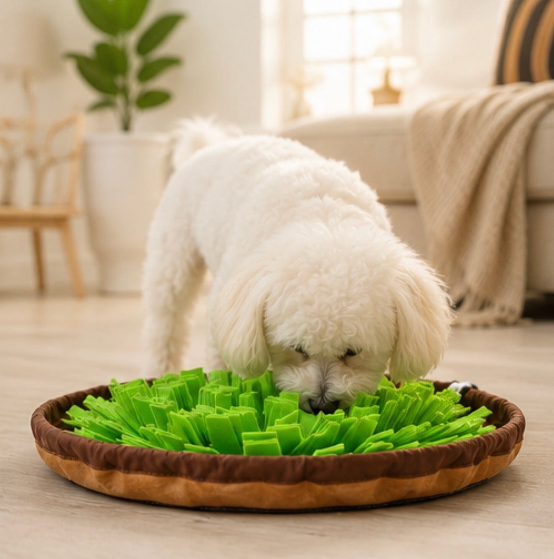 Whisker & Paws 2-in-1 Snuffle Mat & Slow Feeder